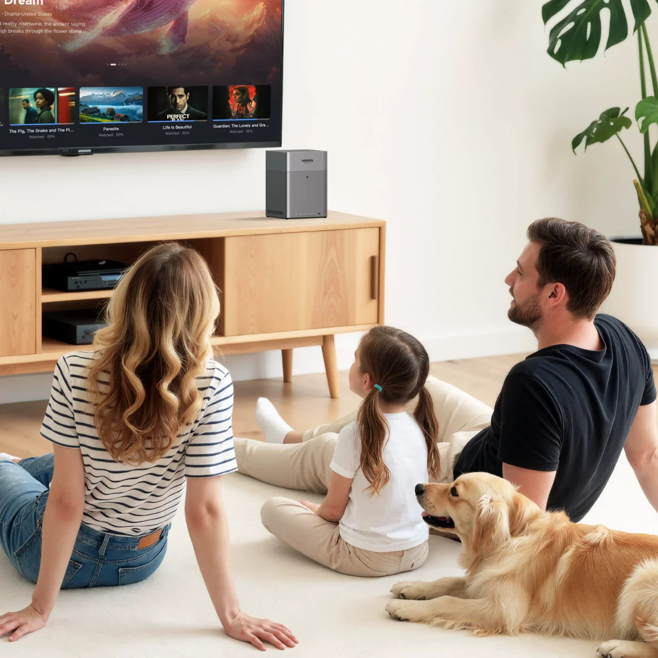 User-Friendly Media Hub